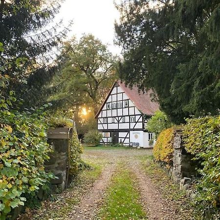 Wassermuehle Triglitz - Alleinlage Fuer Retreats, Workshops, Family & Friends エクステリア 写真