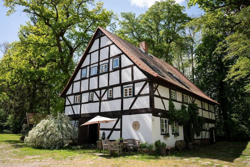 Wassermuehle Triglitz - Alleinlage Fuer Retreats, Workshops, Family & Friends エクステリア 写真