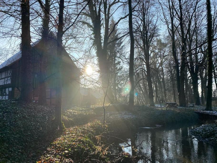 Wassermuehle Triglitz - Alleinlage Fuer Retreats, Workshops, Family & Friends エクステリア 写真