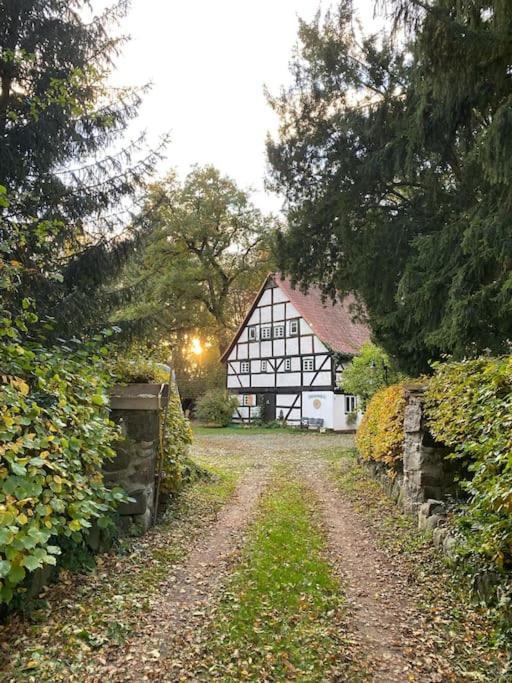 Wassermuehle Triglitz - Alleinlage Fuer Retreats, Workshops, Family & Friends エクステリア 写真
