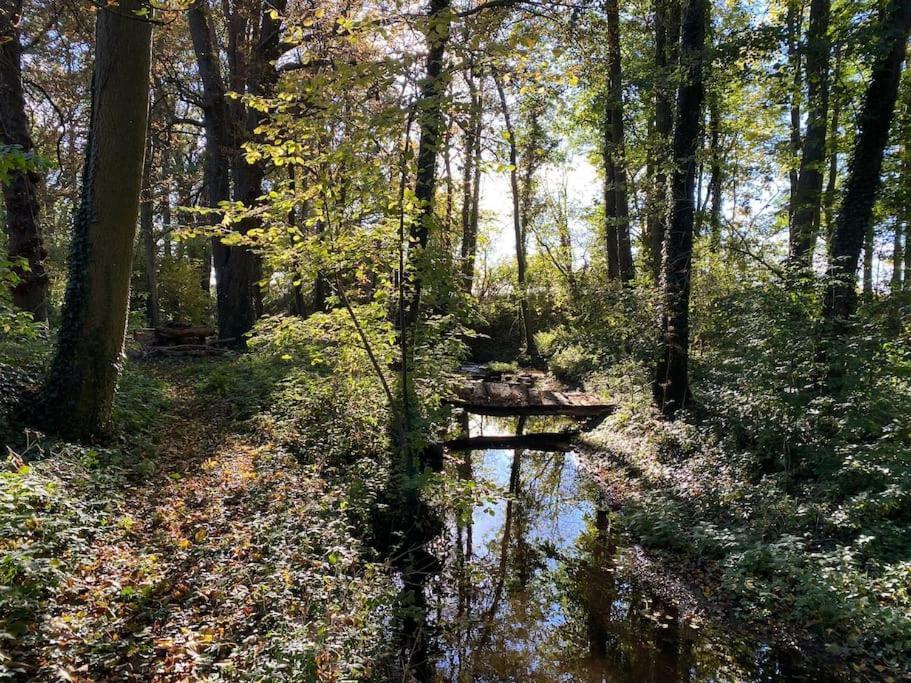 Wassermuehle Triglitz - Alleinlage Fuer Retreats, Workshops, Family & Friends エクステリア 写真