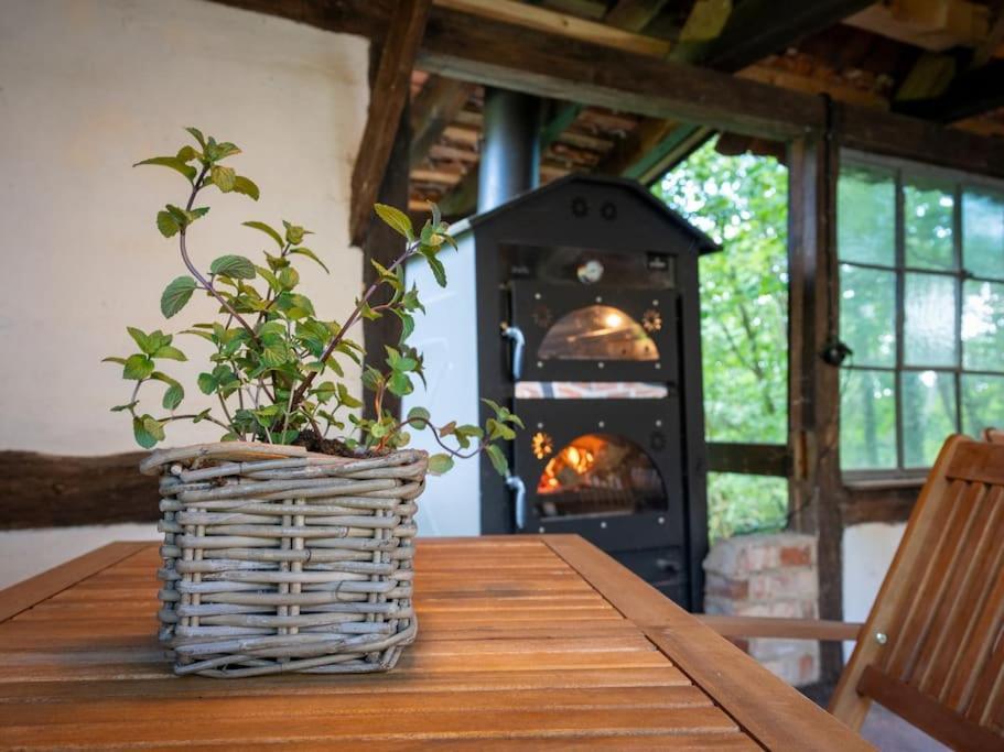 Wassermuehle Triglitz - Alleinlage Fuer Retreats, Workshops, Family & Friends エクステリア 写真