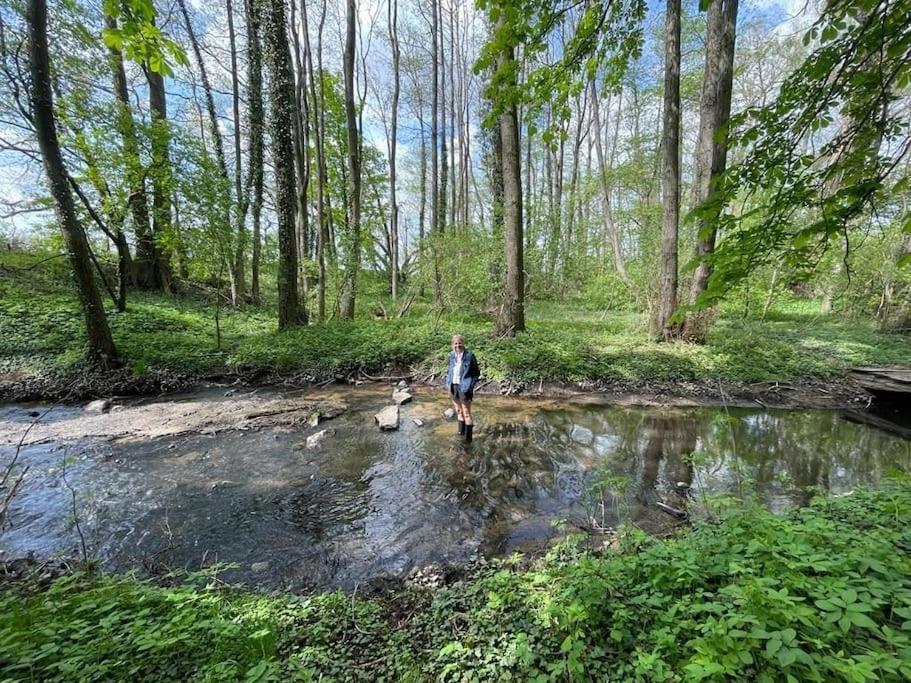Wassermuehle Triglitz - Alleinlage Fuer Retreats, Workshops, Family & Friends エクステリア 写真